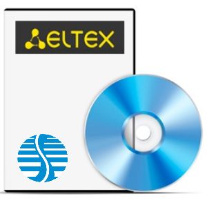 Опция ELTEX SMG1-H323