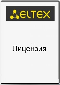 Лицензия ELTEX SMG2-RESERVE-L