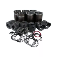 Поршневая группа для двигателя, YUCHAI YC6108/YC6B125