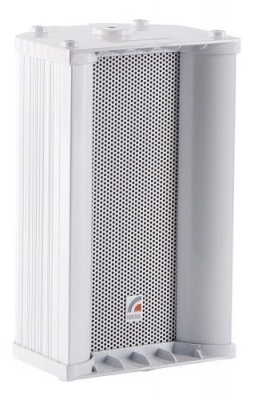 Колонка Roxton CS-810T