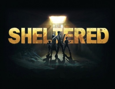 Право на использование (электронный ключ) Team 17 Sheltered
