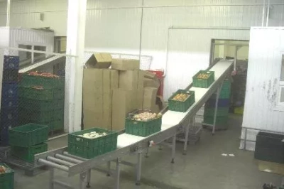 Конвейерный автоматизированный комплекс для мясной продукции, АКМ-2235