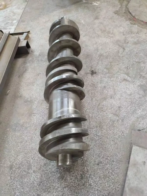 Сквизер, DW 300