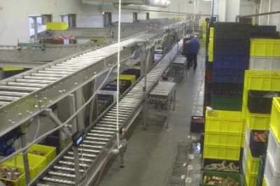 Конвейерный автоматизированный комплекс для мясной продукции, АКМ-2235