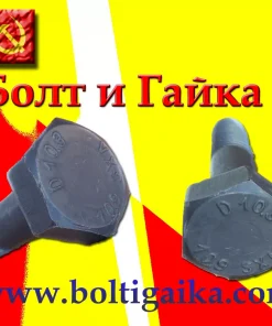 Болт высокопрочный, м20х200