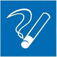 56-0032, Наклейка место курения 100х100