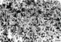 Порошок серебряный текучий субтрактивный Ag