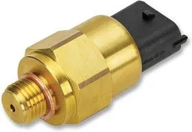 9677010900, Датчик Давления, IP6K9K, жидкость, воздух, выхлопные газы, 10 бар, Напряжение, Абсолютный, 5 В, M14