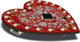 RDC1-0009, Цифровое сердце