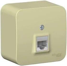 Розетка компьютерная 1-м ОП BLANCA RJ45 кат.5e изол. пласт. беж. SchE BLNIA045007