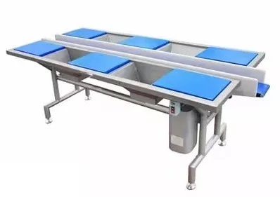 Инспекционный стол с конвейерной лентой для салатной линии, Leaddenmar Inspection Table WP
