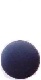 RF-1004, Ножка приборная