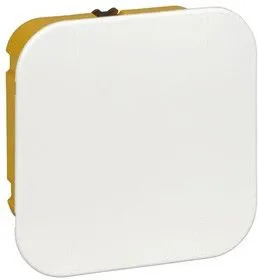 Коробка распр. СП 100х100х50 для г/к SchE IMT35161