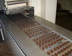 Автоматическая линия формования шоколадных изделий, АS275.2