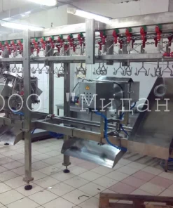 Линия для разделки птицы, Курлин