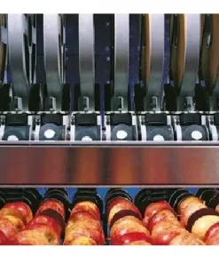 Линия переработки яблок, картофеля, свеклы и моркови, ЛП-500