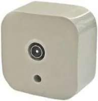 Розетка TV 1-м ОП звезда Quteo сл. кость Leg 782245