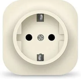 Розетка 1-м ОП 16А IP20 с заземл. сл. кость IONICH 1433
