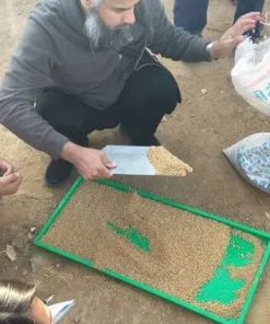 Гидропонная установка для выращивания ГЗК, YZDM-3000