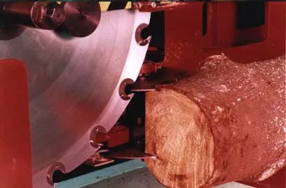 Пилорама, «Гризли»