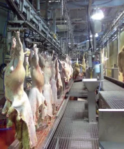 Линия по убою свиней и крс, комбинированная