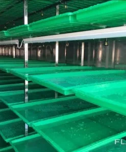 Гидропонная установка для выращивания ГЗК, YZDM-1000