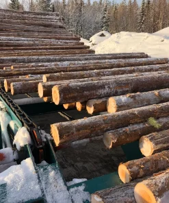 Линия сортировки бревен AXEL, СТАРТ-10